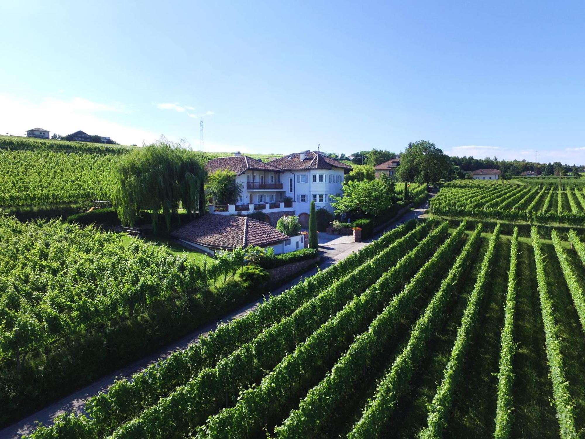 Weinhof Mumelter Apartman Appiano Sulla Strada Del Vino Kültér fotó